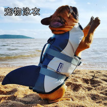 Pet Swimming Dog Life Jacket Fighting Shark Swimsuit Corky Teddy Golden Hair Large and Medium Small Dog Playing with Water