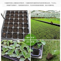 Acupuncture-tray seedling tray seedling box seedling wood multi-meat leaf intercalation nursery box seedling basin tray for breeding Miao pan seedling tray