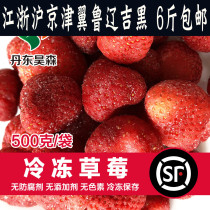 Yuzhen_frozen strawberry 500g) frozen strawberry fresh Dandong sour strawberry Shunfeng