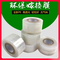High quality graft film Self-adhesive graft special transparent film graft strap without knotting graft strap