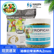 Hagen Harry nourishes the daily S particle of the parrot bird diet of large Amazon ash machine is divided 400g