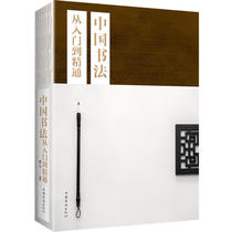 Genuine Books Chinese Calligraphy From Introduction to Mastery of Si Lou Chinese Calligraphy 5000 Years of Calligraphy Basic Techniques The Origin and Basic Characteristics of Chinese Calligraphy Art Art Calligraphy Seal Carving Calligraphy Theory