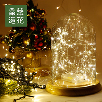 Taiwan Jinghua Green Line Christmas Lighting Warm White Light Led Christmas Ornaments with String Light