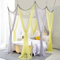 Sunshine simple Nordic wind mantle home-free installation three-door landing encryption ceiling Baroque super large mosquito net