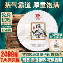 7 pieces of whole collection 2499g send 1 piece of 2019 ancient 300 class chapter damca yuan ancient tree Puer raw tea top ten brands