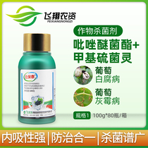Beinong Huayun Baotai grape special anthrax black bean gray mold white rot downy mildew pesticide fungicide 100g