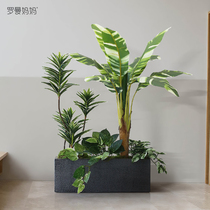 Bionic False Tree Landscape Simulation Green Planting Plantain Tree Potted Mall Office Shop Window Fabrication Flower Trough Partition Decoration