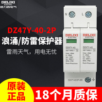 Delixi surge protector household lightning arrester 220V 2P40KA surge DZ47Y-40