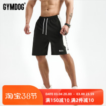 GYMDOG Tide Cards Collage Fitness Shorts Mens Summer Running Training Loose Breathable 50% Mid Pants Sports Pants