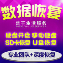 Data recovery computer U disk memory SD card photo File software mobile hard disk repair hard disk repair service