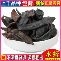 Selection of sulphur-free clear water leech dry leech locusts can be powder free for 250