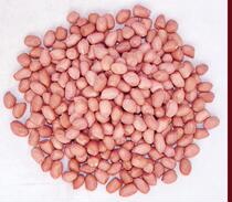 3 pieces of new goods farmhouse self-produced peanut rice raw taste large grain peanut kernel squeezed oil soy milk 500g