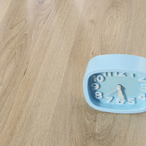 Feimei imported flooring EPL102 Armins light oak flooring laminate flooring German Aig flooring