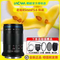 LAOWA old frogs 85mm F5 6 fully painted with microlens 2 times enlarged Canon RF Nikon Z Sony FE Leica