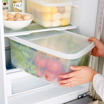 Day-Style Mega-Capacity Fridge Plastic Preservation Box Fruit Vegetable Dry Goods Seal Case Containing Box Rice Pail