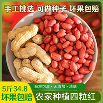 2021 Red Peanuts Peanut Peanuts Selenium-rich Black Peanuts Colorful Peanuts Original Fried Peanuts