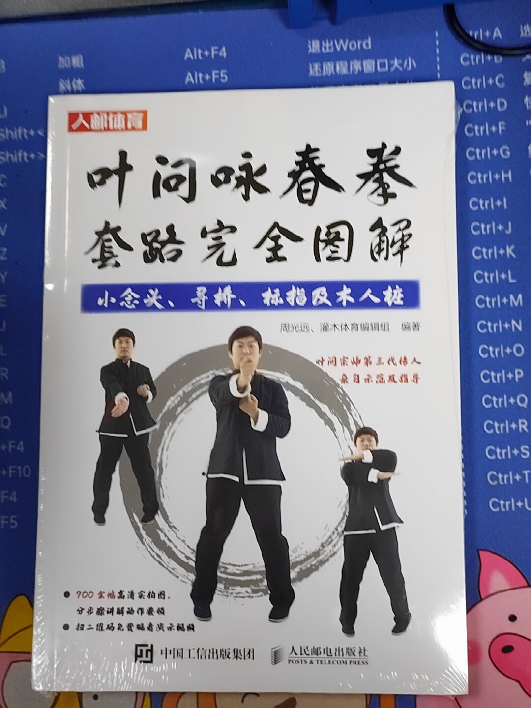 葉問詠春拳套路完全圖解小念頭尋橋標指及木人樁詠春拳書籍-淘寶Taobao