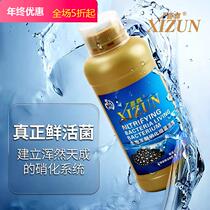 Nitrogen nitric bacterial aquatic digestive bacterial water quality stabilizer fish tank water purifier nitric fish fish fish