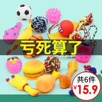 Pet dog toys Bite-resistant molars Large dogs Puppies sound sharp screams Chicken Teddy puppy toy ball supplies