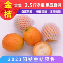 Yangshuo kumquat non-Rongan crispy ma pi kumquat in Guilin Guangxi xian zhai fresh fruit 2 5kg orange