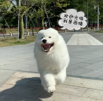 Make up the difference and make up the freight 1 yuan special link