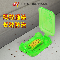 Japans speed to kill and eliminate Ant drugs clean household artifact indoor whole nest outdoor kitchen non-non-toxic