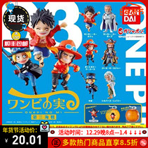 Bandai Gacha One Piece Devil Fruit Gacha Shell Q Version Three-Dimensional Figure Modeling Series 3 Spot