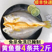 Mellow Ningde yellow fish semi-finished food fresh large yellow croaker yellow croaker yellow croaker yellow croaker yellow croaker dry drunken salted fish wholesale