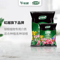 Hongyue flower color master bulb plant special medium 15L Tulip Vermilion seed ball nutrient soil