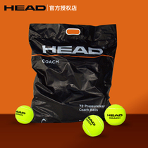 HEAD Hyde Tennis Unpressurized Training Tennis Wear Practice Professional Wool Tennis Bag coach