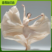 Modern minimalist monochromatic dance Long dress Grand dresses Pendulum Adults Performance Exercises Transparent Flutter China Classical Ballet Dresses