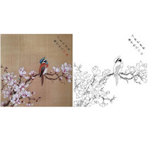 Gongbi painting white sketch manuscript Yulan Chu Yanchun retro style flowers and birds hook line physical print draft size optional CY20