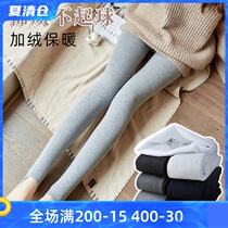 Winter thickened velvet pantyhose cotton socks leggings womens gray one-piece leg socks Step on the feet to keep warm and thin legs