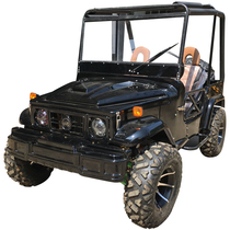 Two-wheel drive Jeep ATV Big G disc type two-seater Jinlang 300cc automatic transmission 12 inch four-wheel off-road motorcycle