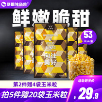 Ready-to-eat Sweet Corn Kernels Fruit Fitness Meal Snacks Vegetable Salad Low Fat Canned Glutinous Northeast Corn 10 Bags