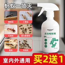  Ant-killing bait Household red fire ant whole nest end indoor killing deworming control Kitchen small ant insecticide