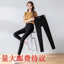 Small cat magic pants 8 0 Spring autumn new thin section High waist elastic kitten 5 0 slim and small feet of underpants woman