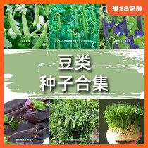 Heirloom sweet pea seed collection vegetable seed Autumn Winter Four Seasons Dutch bean seed seed savior