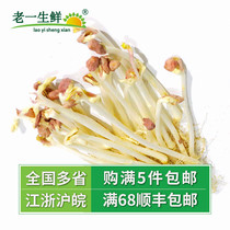 (Old one fresh) fresh peanut bud peanut seedling 450 grams a box