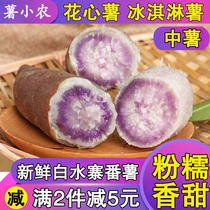 Flower heart potato fresh sweet potato purple potato ice cream potato flower heart purple potato 5kg purple heart Alpine flower heart potato Zengcheng
