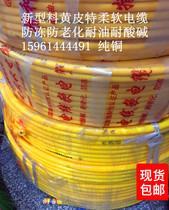 YC2 * 2 5 squared yellow leather line soft cable pure copper soft oil resistant acid and alkali resistant and anti-aging 95 m