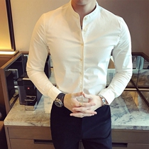 Mens shirt Long-sleeved stand-up collar white shirt Korean slim-fit youth high-end business shirt mens trend casual inch shirt