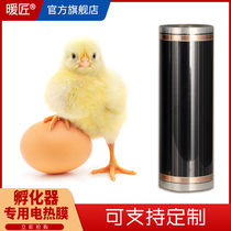 Warms chicken farm electric film incubator incubator incubator heating can be customized