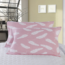 Cotton pillow towel pillow head scarf pink pillow gray pillow gray pillow feather pattern pillow towel pair