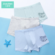 Long-term childrens underwear Modal boys boxer underwear teenagers middle-aged baby four-corner shorts thin