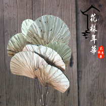 Natural lotus leaf dried flower home decoration Lotus leaf green art dried flower dried leaf bouquet flower arrangement material shooting props