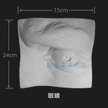 Real face Five official eyes plaster Like model ears Nose Nose swing piece Pendant Art Examination Fine Art Sketching