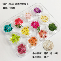 Mini Pawnflower Suit Small Water Fairy Lace Flower Dried Flowers Merry Medecine Drop Glue Ornament With Face Makeup to Write True Materials