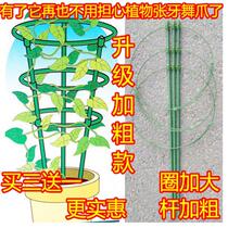 Thick climbing tree flower shelf plant iron frame rose clematis rose clematis support Rod pillars crab claws