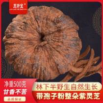 Changbai Mountain purple Ganoderma lucidum 500 grams of whole flower with spore powder soup is not bitter field growth non-red sliced tea